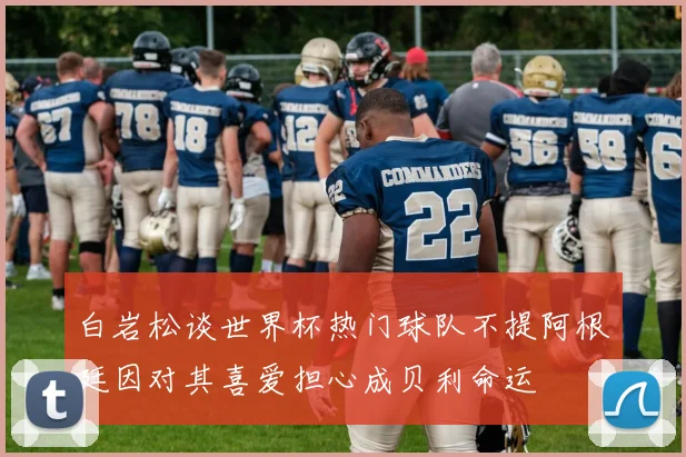 白岩松谈世界杯热门球队不提阿根廷因对其喜爱担心成贝利命运